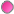 color rosa